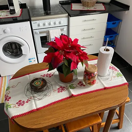 Lägenhet Slice Of Ponta Do Sol- Ground Floor- Sea View *